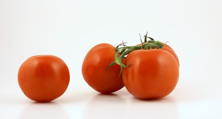 tomatoes