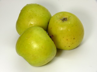 green apples covered with dewdrops