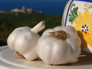 knoblauch