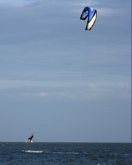 windsurfer