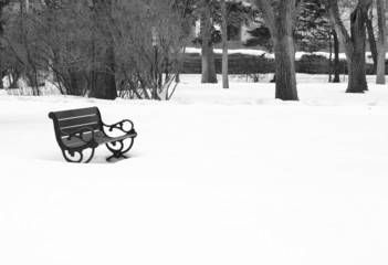 Fototapeta na wymiar park bench winter