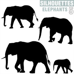 Fototapeta premium elephants silhouettes 5