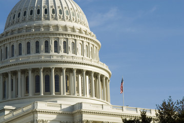 Obraz premium us capitol dome in washington dc