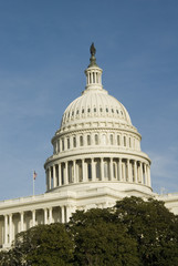 Obraz premium us capitol dome in washington dc