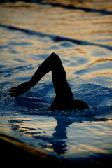 silhouetted swimmer 3 © Sportlibrary