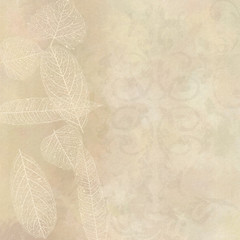 skeleton leaf