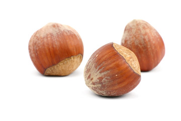 hazelnuts