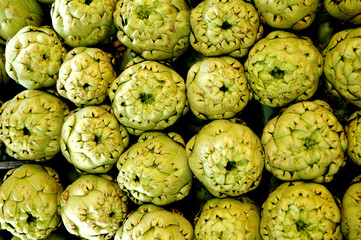 Obraz premium artischocken