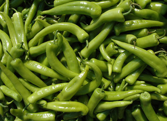 grüne paprika