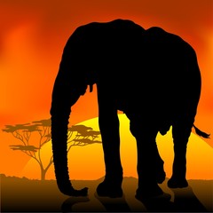 elephant silhouette a