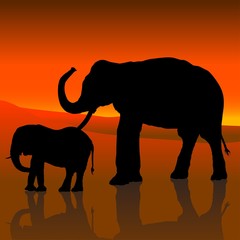 Naklejka premium elephant silhouette c
