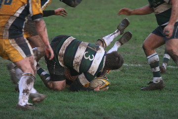 rugby