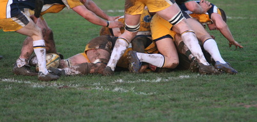 rugby