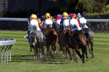 horseracing rear