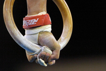 gymnastic rings