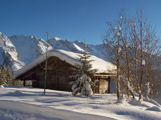 chal 100_3082