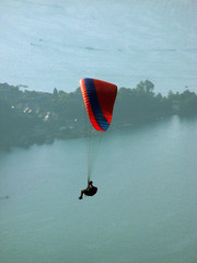 fred 000_0431