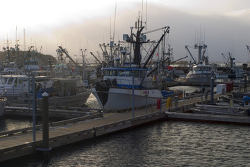 kodiak harbor with boats at the deck on a cold winter day