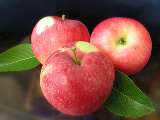 three red apples