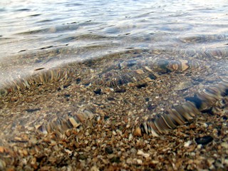 rippling waves