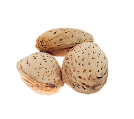 three almond nuts in a shell.