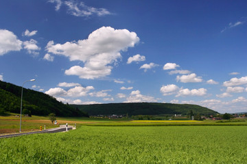 sunny field and road