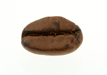 Obraz premium coffee bean - real macro