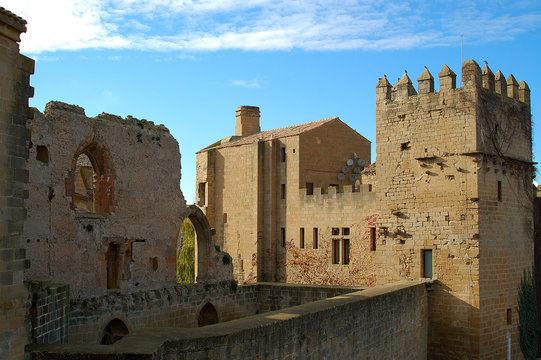 olite vx