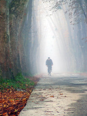 old man cycling at alley