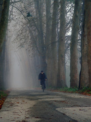 old man cycling at alley