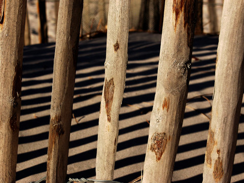 fence