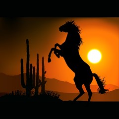 horse silhouette a © Roman Dekan