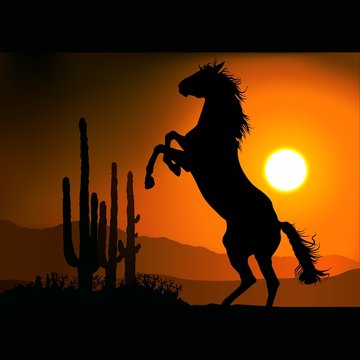 horse silhouette a