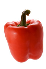 fresh juicy paprika isolated on white