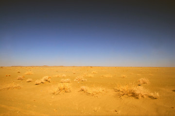desert