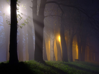 dawn and raylights