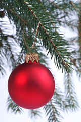 christmas decoration hanging on a tree