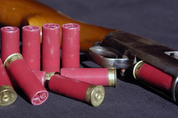 shotgun and shells