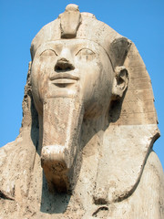 the memphis sphinx, egypt