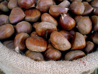 chestnuts