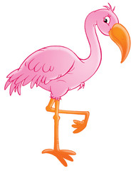 pink flamingo