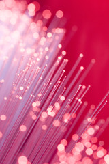 optical fibers