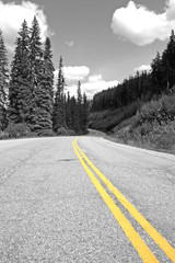 Naklejka premium Black and White Forest Highway in British Columbia with Yellow Road Markings Leading to the Horizon