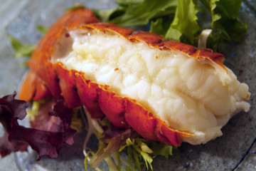 lobster tail