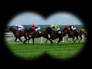 horse race