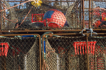crab traps