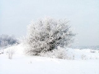hight art painted winter landscape