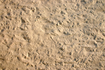 cream wall coating texture background.