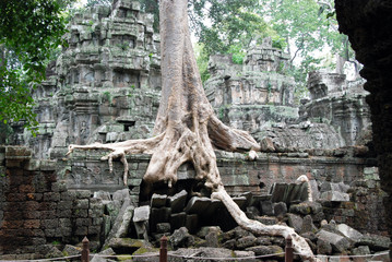 cambogia tempio ta phrom