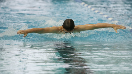 butterfly swim